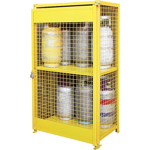 Gas Cylinder Cabinets