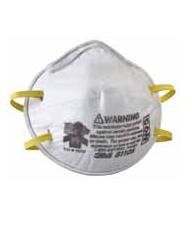 8110S N95 Particulate Respirators - Size: Small