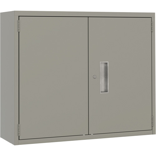 Wall Hung Storage Cabinet